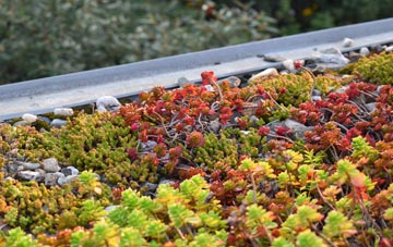 the cost of South Molton green roof installation