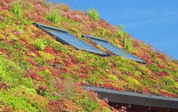 South Molton living roof systems